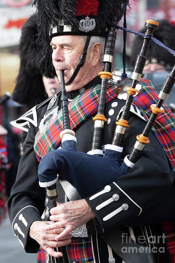 Bagpipes 3 Photograph by Bob Christopher - Fine Art America