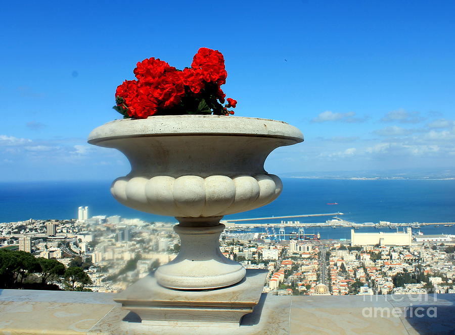 Bahais Garden - Haifa Photograph by Jason Sentuf