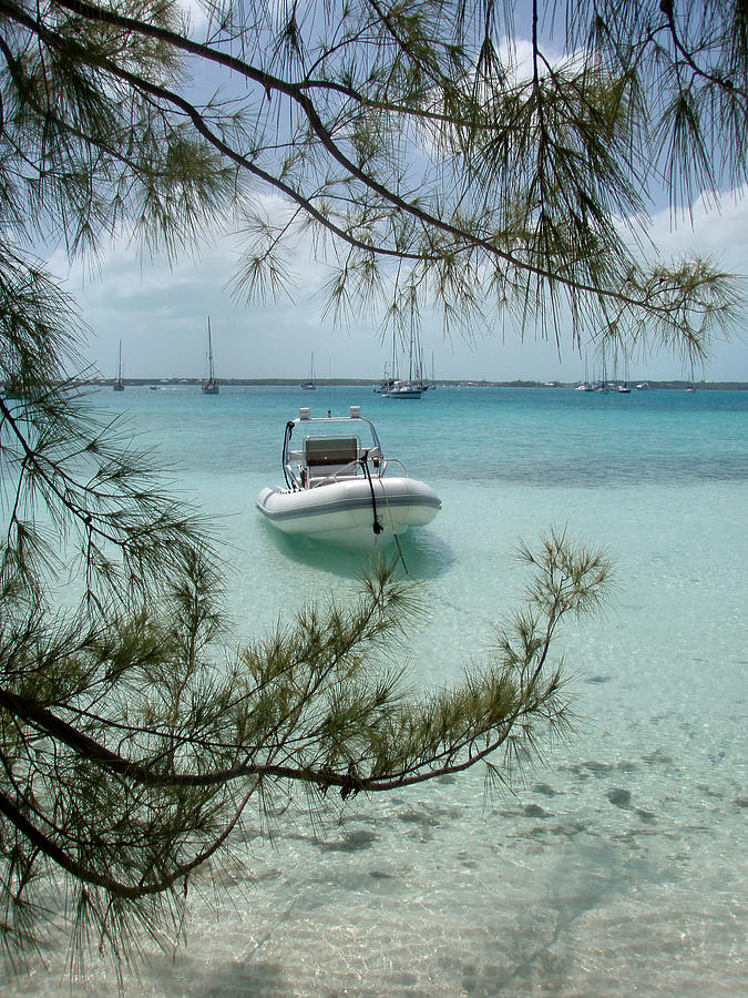 Bahama Tender Photograph by Bonnie Colgan