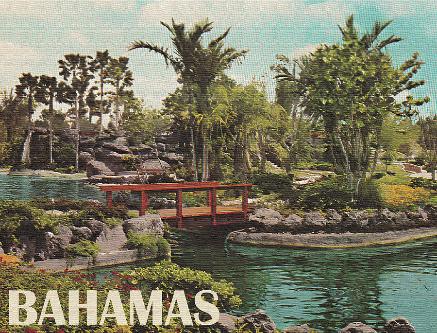 Vintage Photograph - Bahamas, Garden Photo by Long Shot