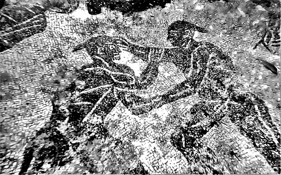 Baiae Water Floor Fighting Men B W Photograph by Rob Hans