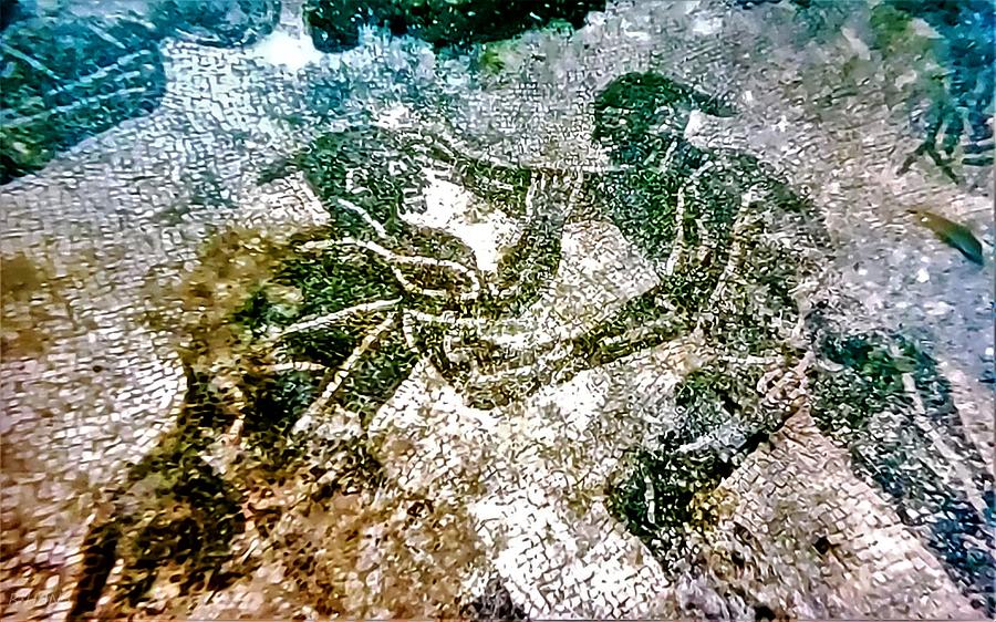 Baiae Water Floor Fighting Men Photograph by Rob Hans