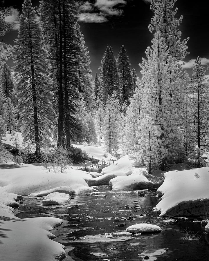 Bailey Creek Infrared Photograph by Mike Lee