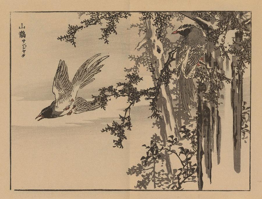 Bairei gafu, Pl.34 1905 Kono Bairei Japanese, 1844-1895 Painting by ...