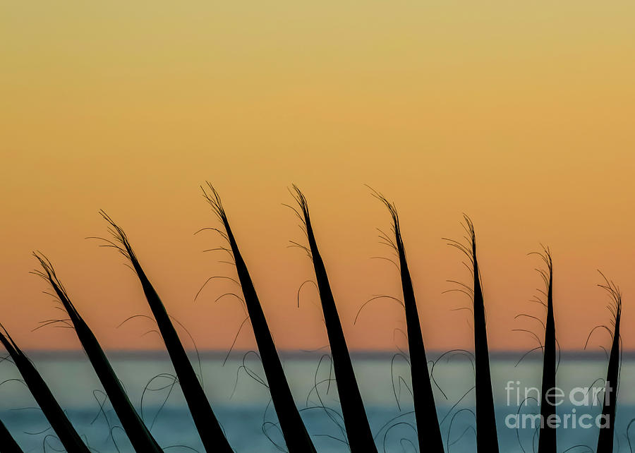 Sunset Photograph - Baja Dreaming by Kris Hiemstra