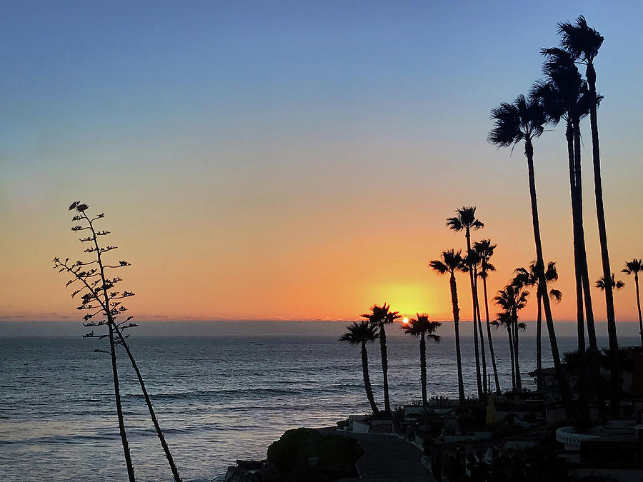 Baja Sunset Bliss Photograph by Rebecca Herranen