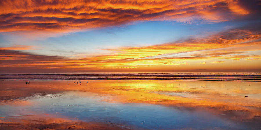 Baja Sunset Photograph by Tommy Farnsworth - Fine Art America