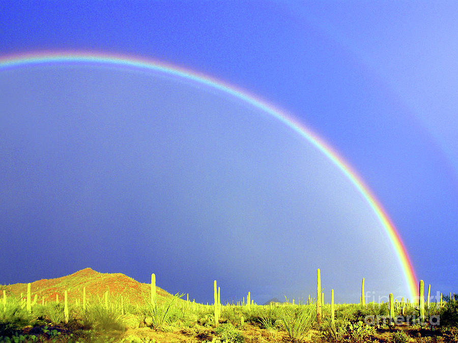 Bajada Rainbow Photograph by Douglas Taylor