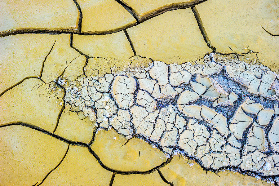 Baked Mud and Efflorescence Photograph by Alexander Kunz