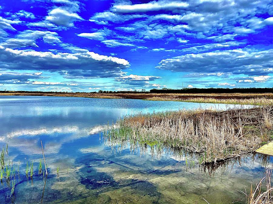 Baker Wetland Reflections Photograph by Michael Oceanofwisdom Bidwell