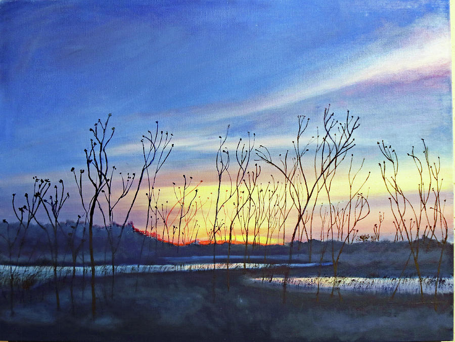 Baker Wetlands II Painting by Nadine Button