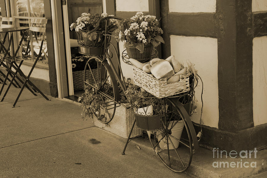 Bakery in Bicycle Basket and Flowers in Sepia Photograph by Colleen Cornelius