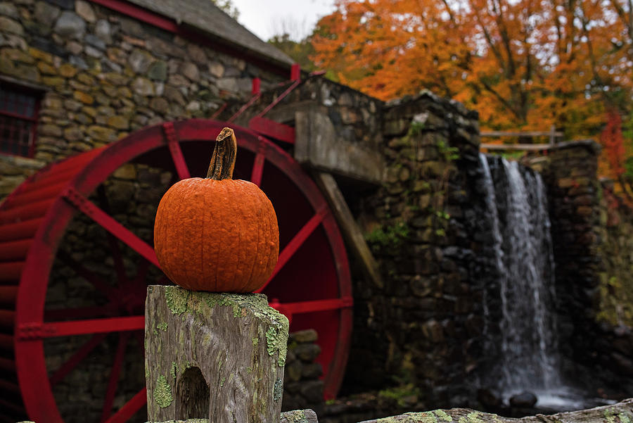 Balancing Pumpkin at the Wayside In Grist Mill in Autumn Sudbury Massachusetts Photograph by Toby McGuire