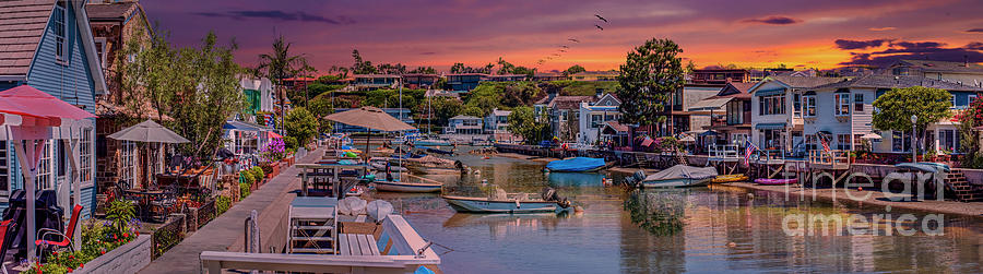 Balboa Island Newport Beach Photograph by David Zanzinger