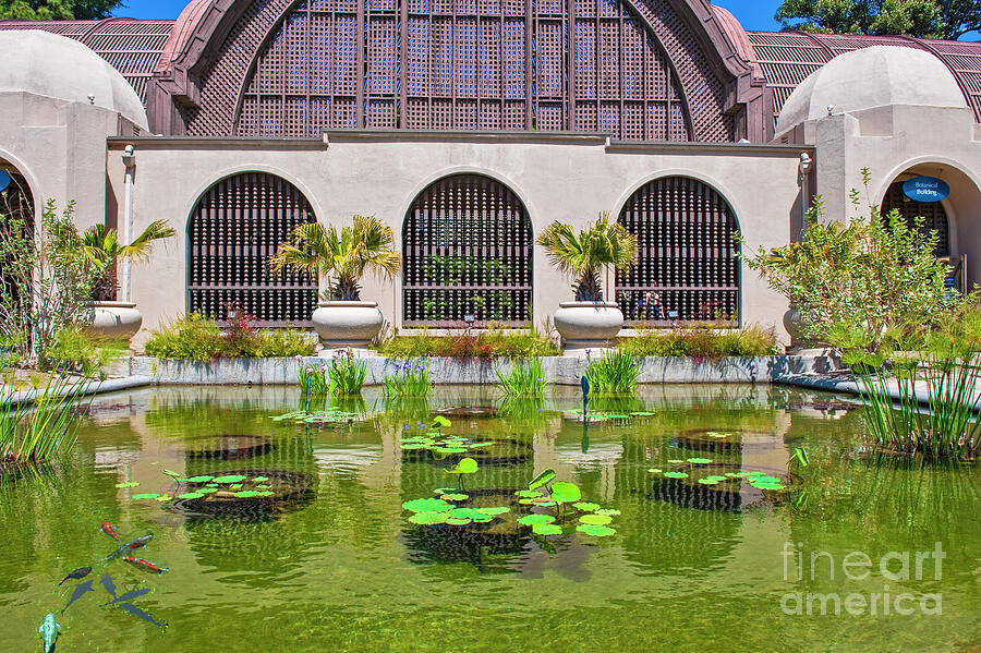 Balboa Park Botanical Building Lily Pond Photograph by David Zanzinger