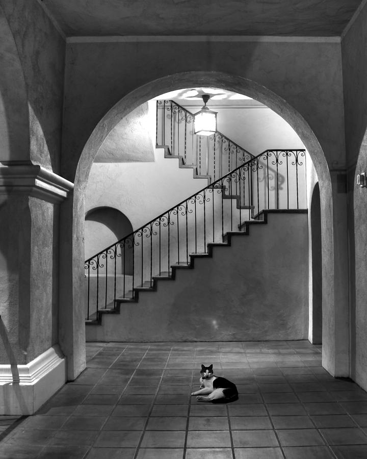 San Diego Photograph - Balboa Park Stairs by Dusty Wynne
