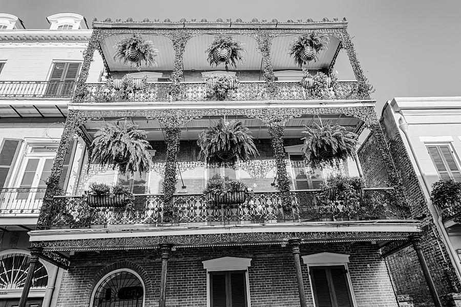Balcony with Hanging Plants in the New Orleans French Quarter Louisiana Black and Whtie Photograph by Toby McGuire
