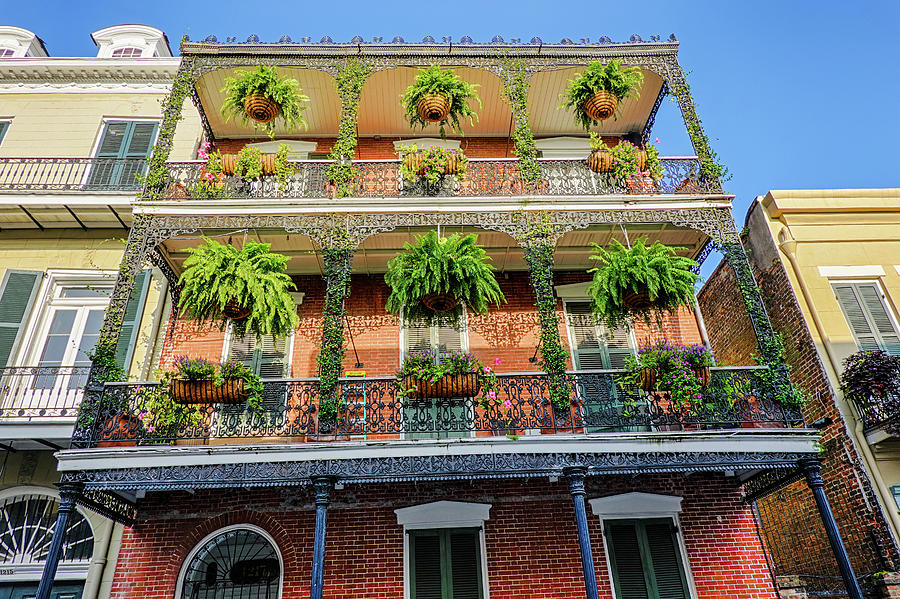 Balcony with Hanging Plants in the New Orleans French Quarter Louisiana Photograph by Toby McGuire