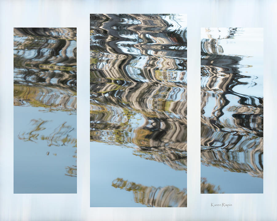 Abstract Photograph - Bald cypress reflections  by Phil And Karen Rispin