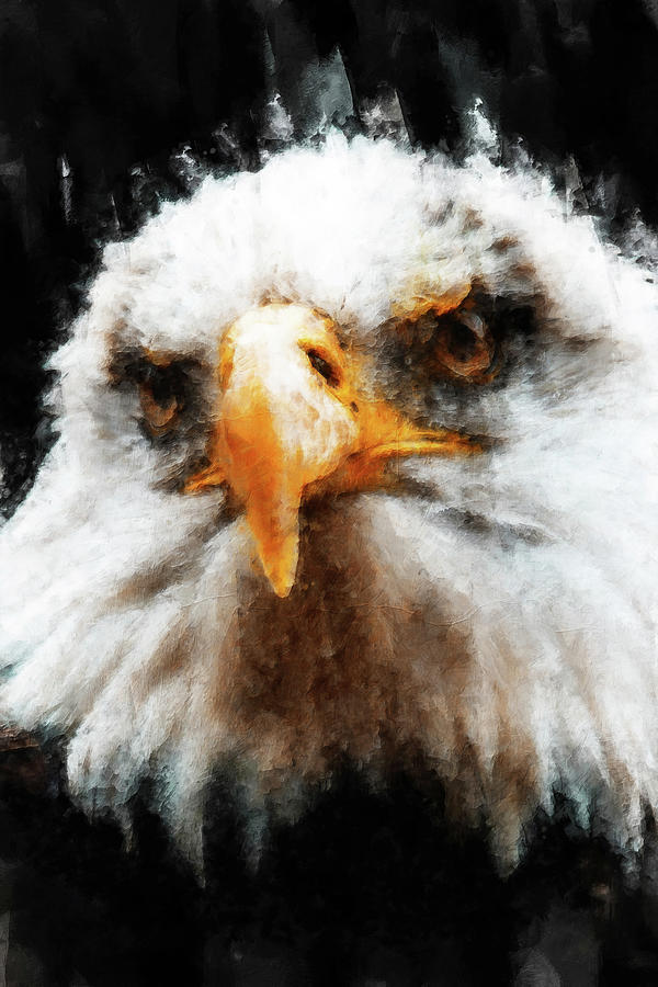 Bald Eagle - 07 Painting by AM FineArtPrints