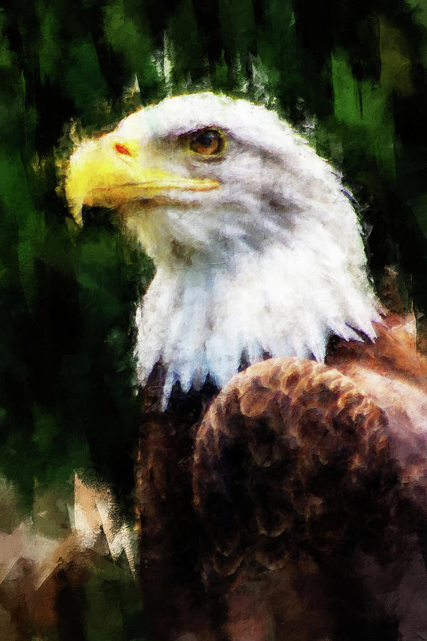 Bald Eagle - 08 Painting by AM FineArtPrints