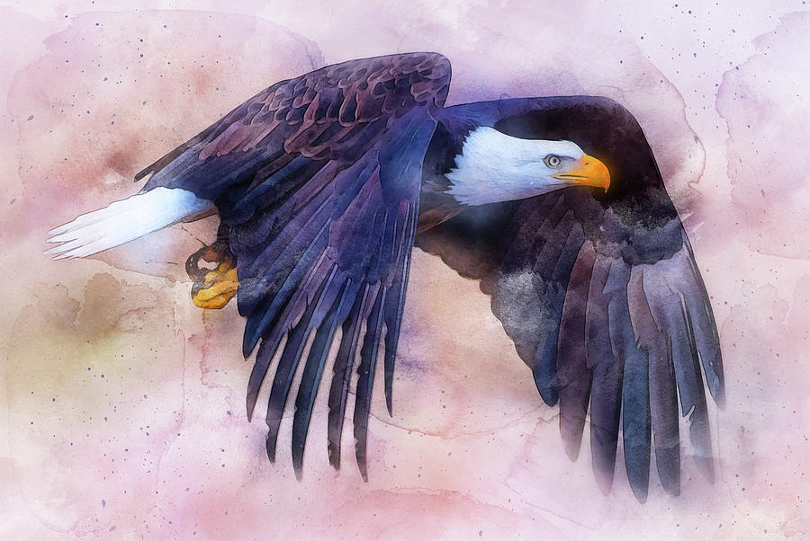 Bald Eagle - 12 Painting by AM FineArtPrints