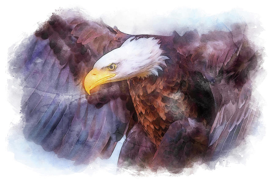 Bald Eagle - 13 Painting by AM FineArtPrints
