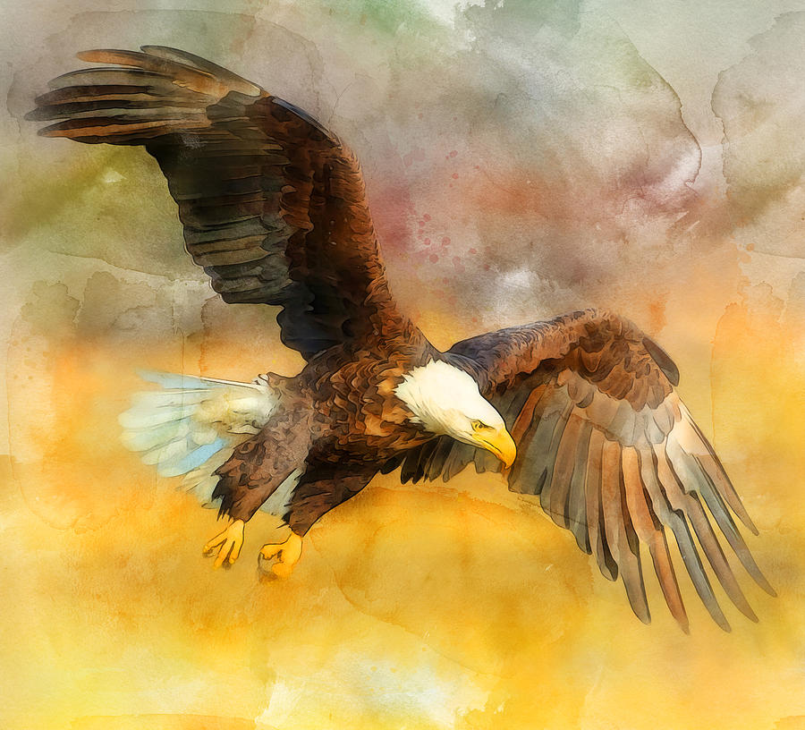 Bald Eagle - 14 Painting by AM FineArtPrints