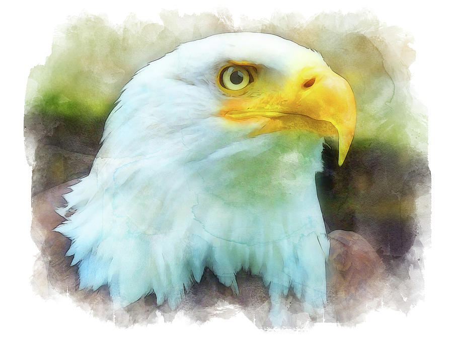 Bald Eagle - 15 Painting by AM FineArtPrints