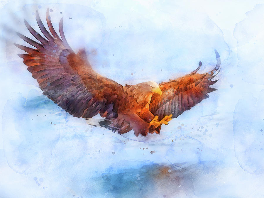 Bald Eagle - 16 Painting by AM FineArtPrints