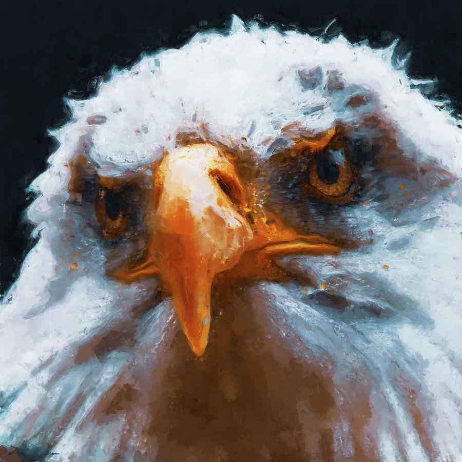 Bald Eagle - 17 Painting by AM FineArtPrints