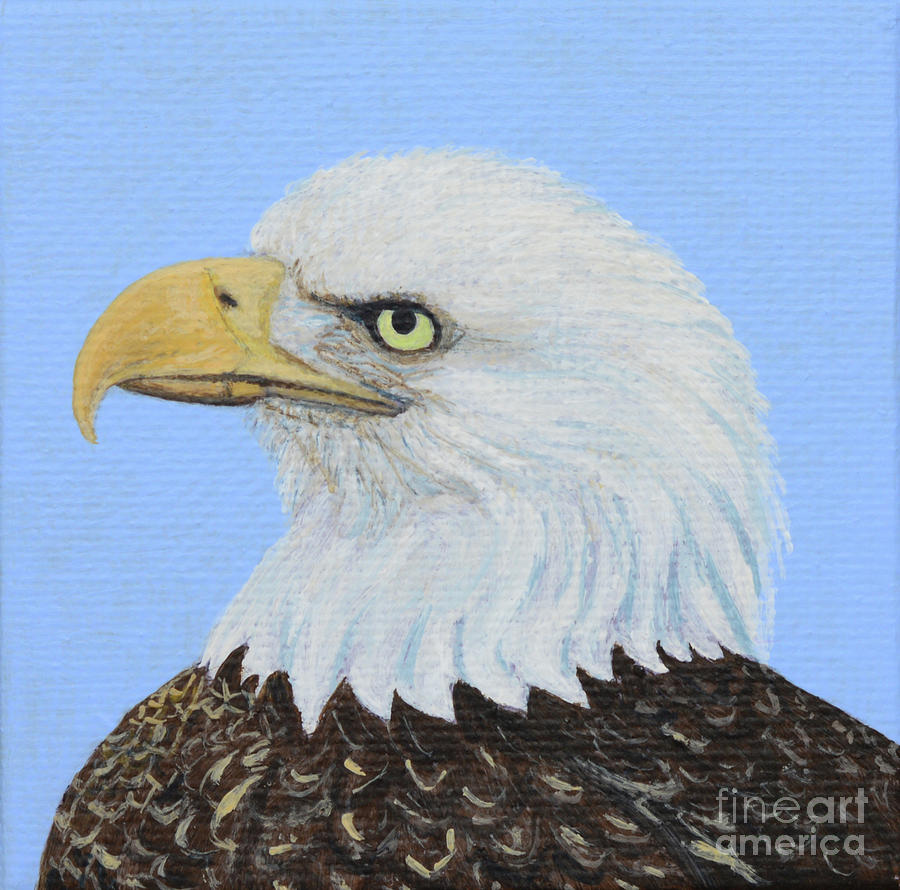 Bald Eagle Painting by Aicy Karbstein
