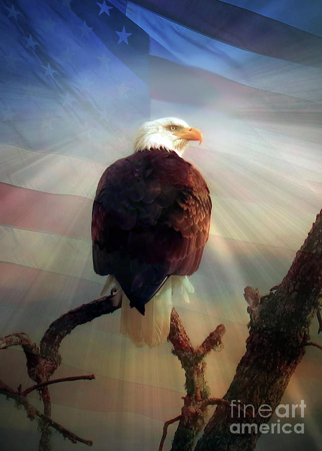 Bald Eagle and American Flag Patriotic  Photograph by Stephanie Laird
