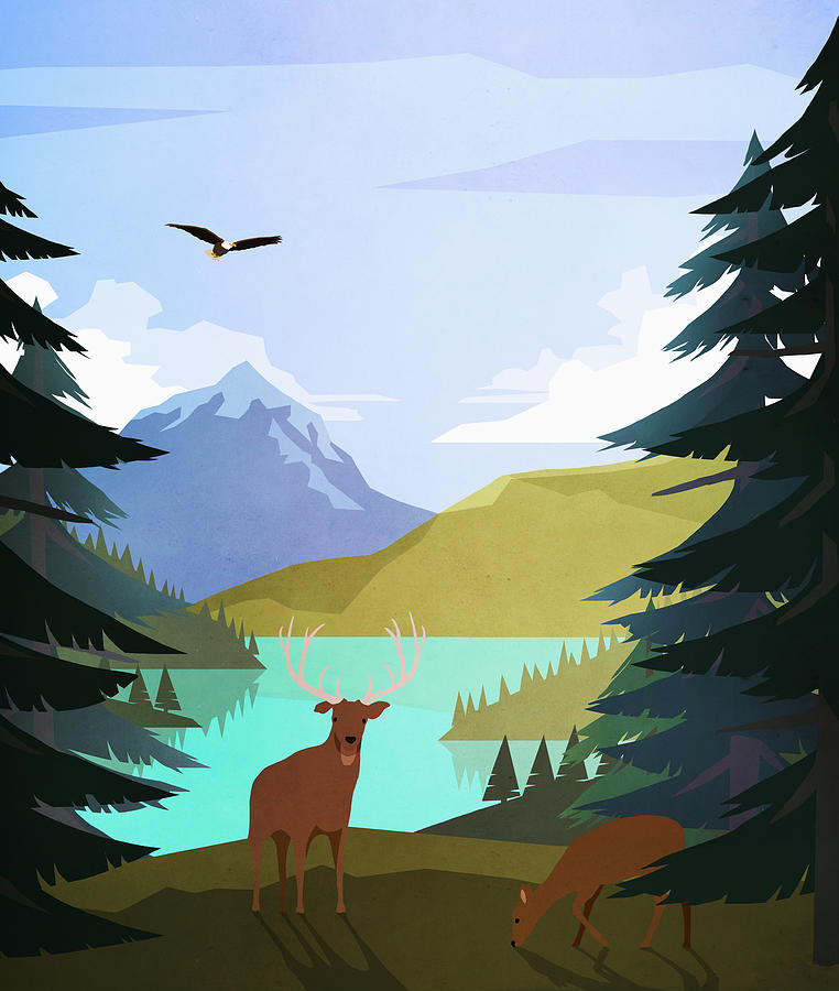 Bald eagle and deer at idyllic, remote lakeside Drawing by Malte Mueller