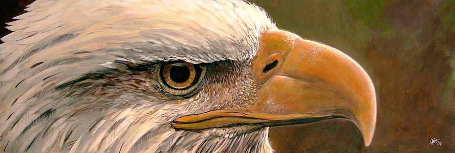 Bald Eagle Painting by Arie Van der Wijst