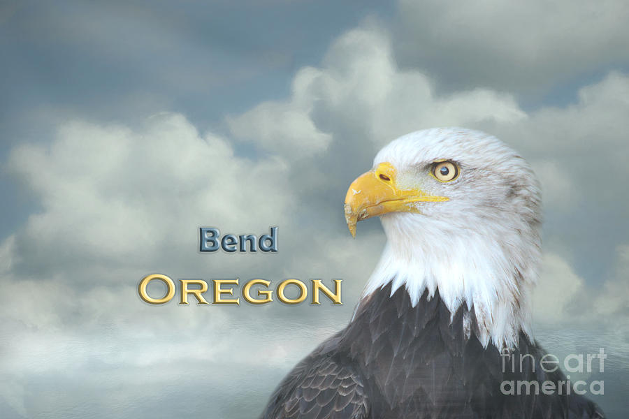 Bend Mixed Media - Bald Eagle Bend OR by Elisabeth Lucas