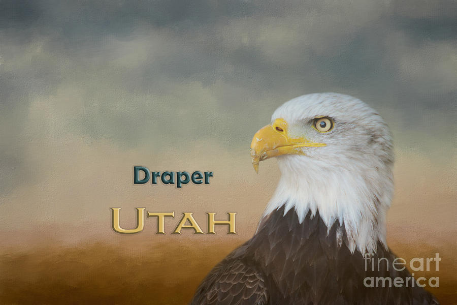 Eagle Mixed Media - Bald Eagle Draper Utah by Elisabeth Lucas