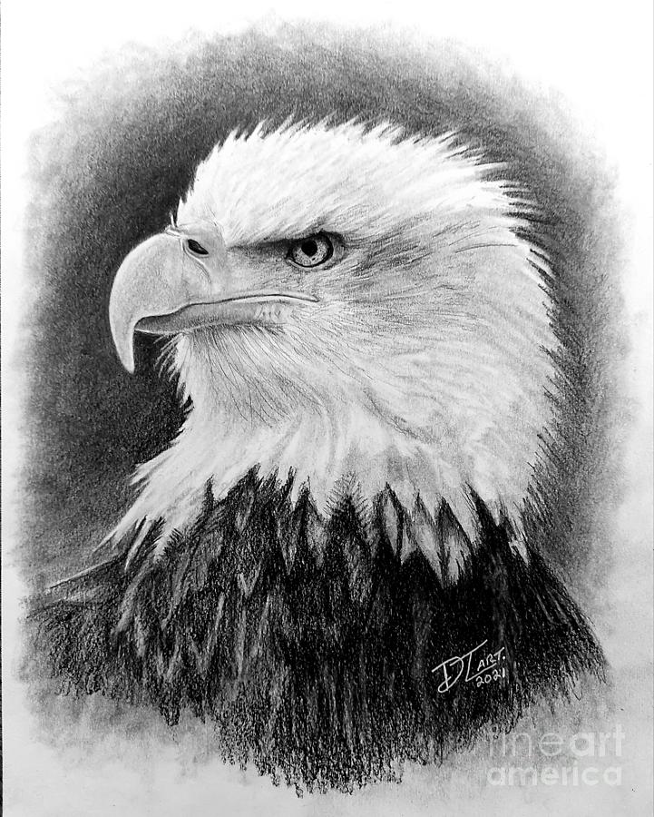 Bald Eagle Drawing by DTLART Dave LeBlanc - Fine Art America