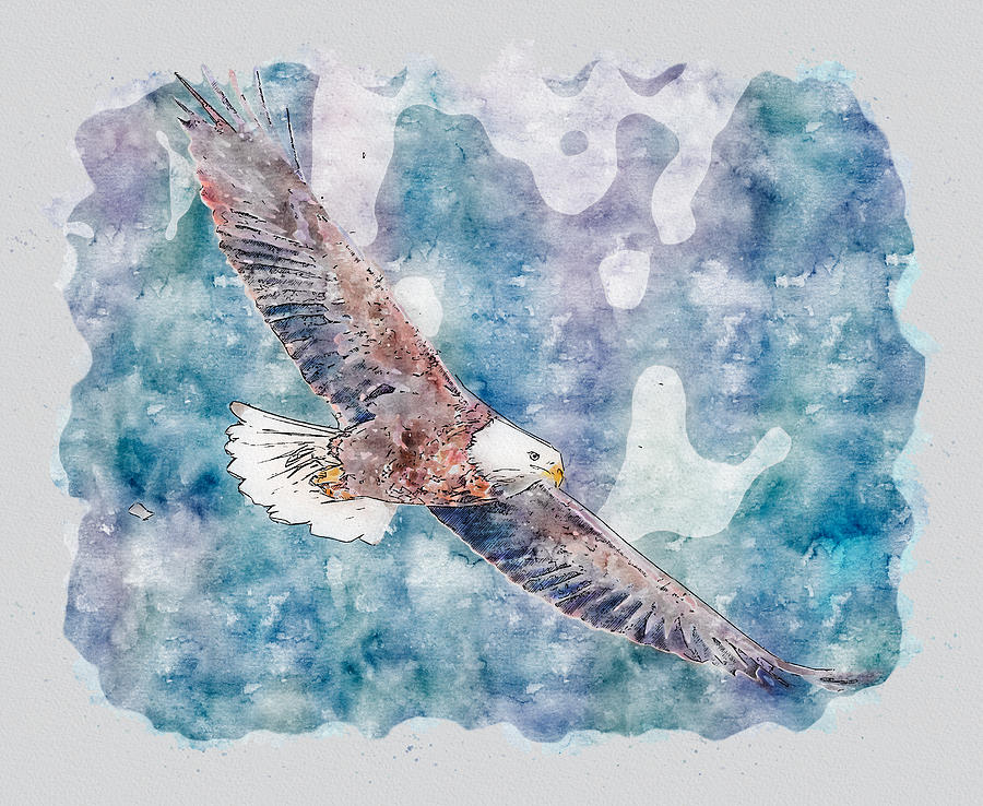 Bald Eagle Flight Digital Art by Matthew Nelson