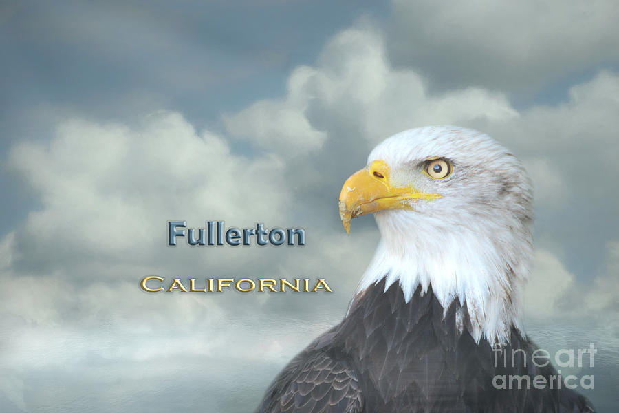 Eagle Mixed Media - Bald Eagle Fullerton CA by Elisabeth Lucas