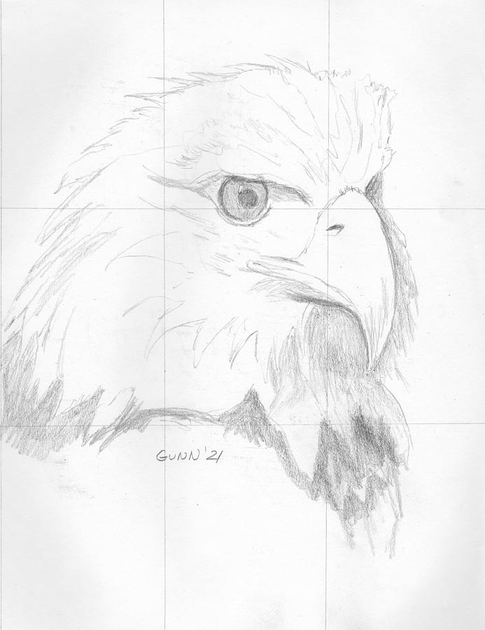 how to draw an eagle head step by step