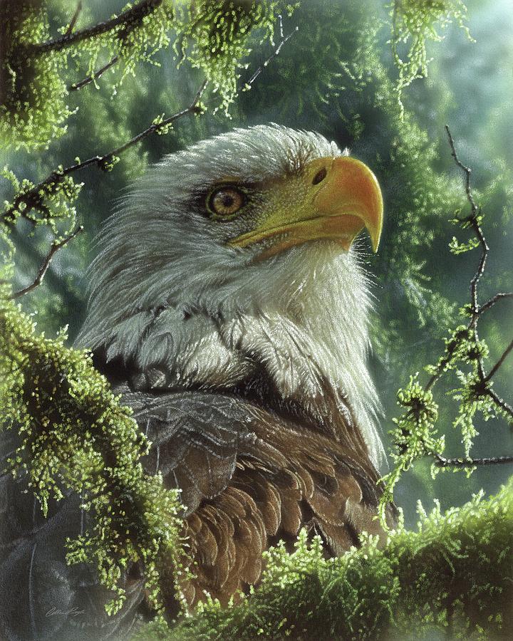 Bald Eagle - High and Mighty Painting by Collin Bogle