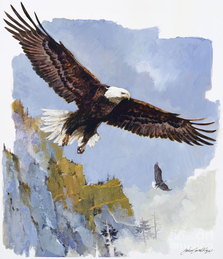 Bald Eagle In Flight Painting by John Swatsley