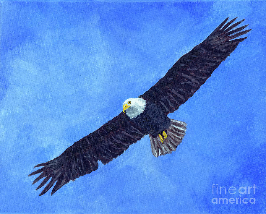 Bald Eagle In Flight Painting by Timothy Hacker