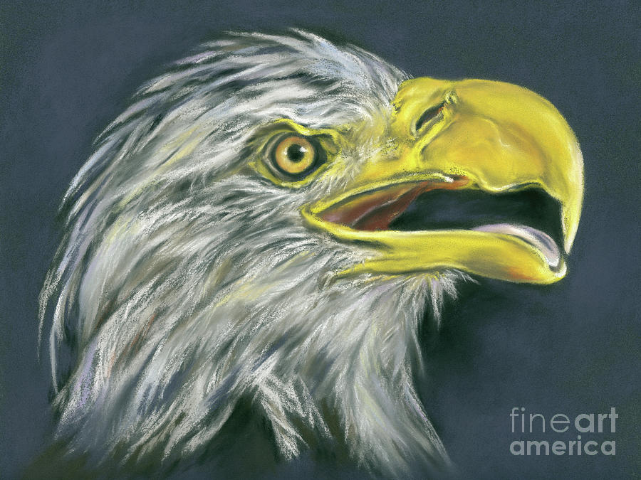 Bald Eagle in Profile with Open Beak Painting by MM Anderson