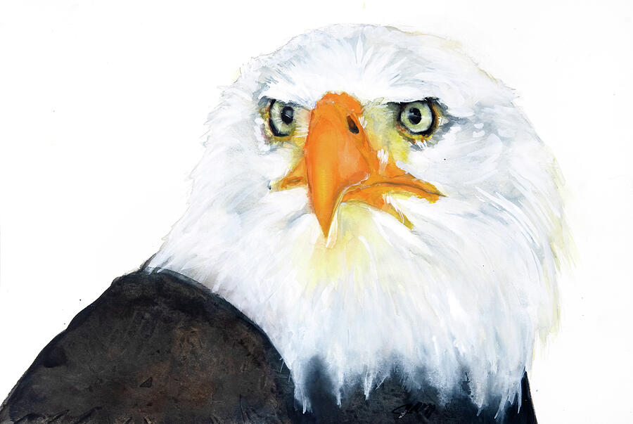 Bald Eagle Painting by Jani Freimann
