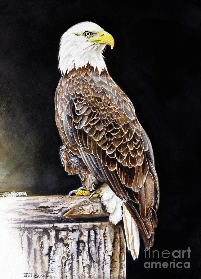 Bald Eagle Painting by Jeanette Ferguson