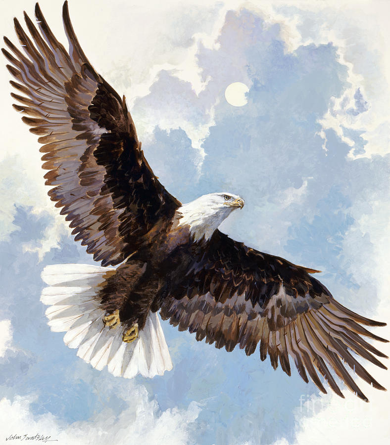 Bald Eagle Painting by John Swatsley