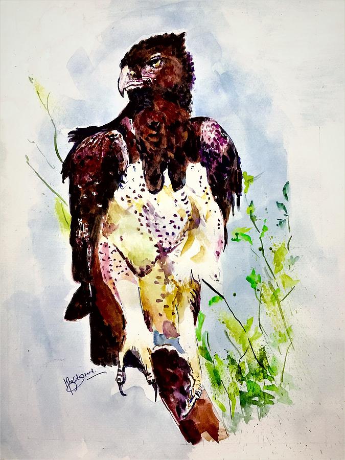 Bald eagle Painting by Khalid Saeed