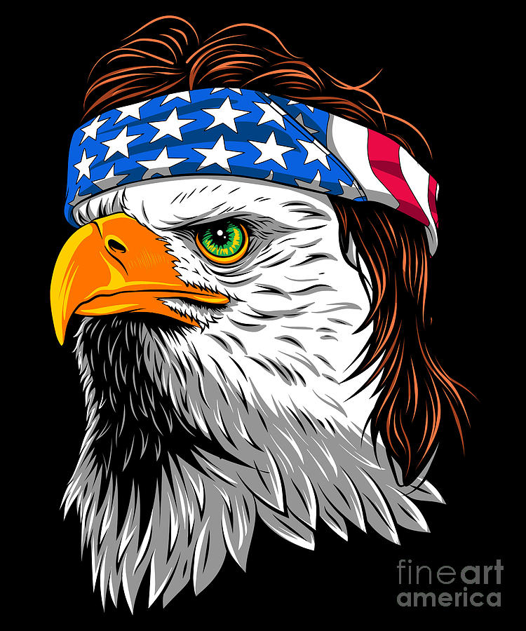 bald-eagle-mullet-patriotic-eagle-usa-mister-tee.jpg